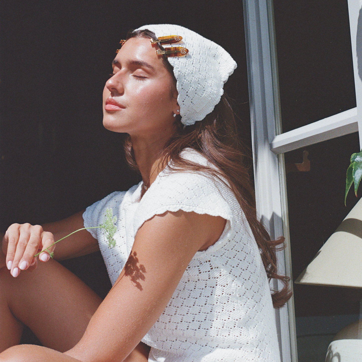 Get Ready Clips - Papillon Tortoise